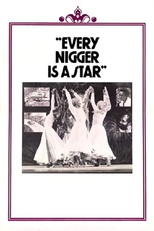 Every Nigger Is a Star's poster