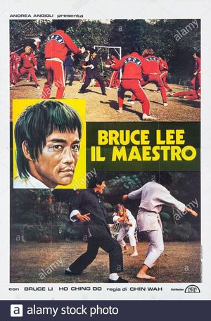 Bruce Lee's Deadly Kung Fu's poster