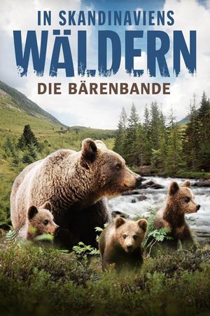 In Skandinaviens Wäldern - Die Bärenbande's poster