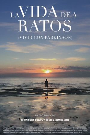 La vida de a ratos's poster
