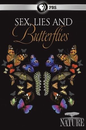 Sex, Lies and Butterflies's poster