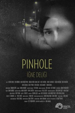 Pinhole's poster image