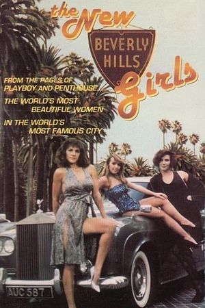 The New Beverly Hills Girls's poster