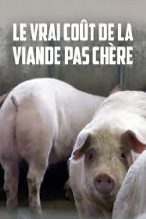 Le vrai coût de la viande pas chère's poster