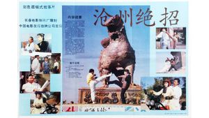 沧州绝招's poster