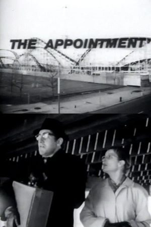 The Appointment's poster image