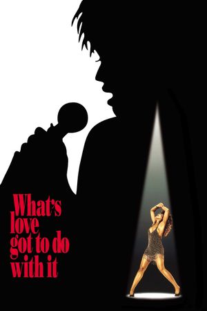 What's Love Got to Do with It's poster image