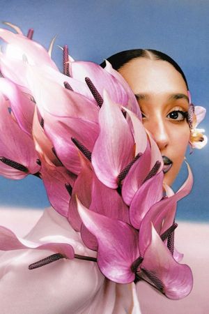Where The Butterflies Went's poster