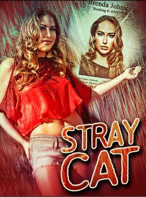 Stray Cat's poster
