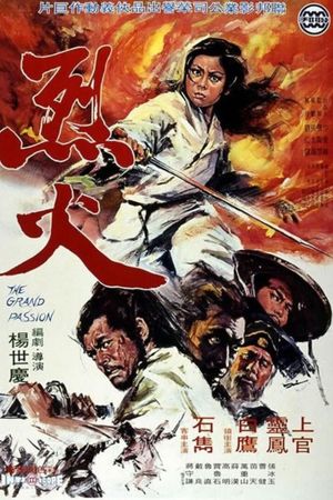 Vengeance of the Phoenix Sisters's poster