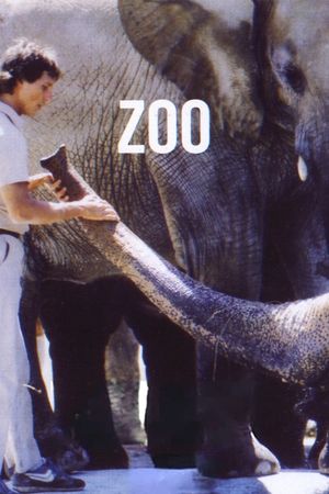 Zoo's poster
