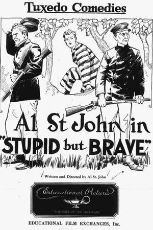 Stupid, but Brave's poster image