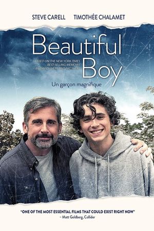 Beautiful Boy's poster