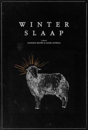 Hibernation's poster