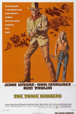 The Train Robbers's poster