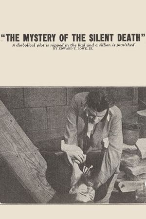 The Mystery of the Silent Death's poster