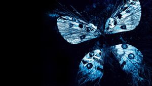 The Butterfly Effect 3: Revelations's poster
