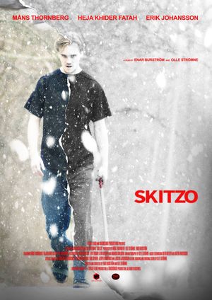 Skitzo's poster image