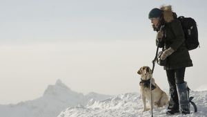 The Mountain Between Us's poster