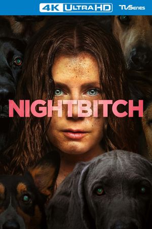 Nightbitch's poster