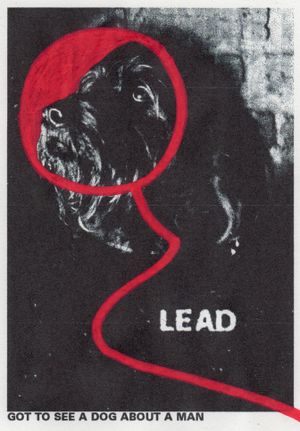 Lead's poster image