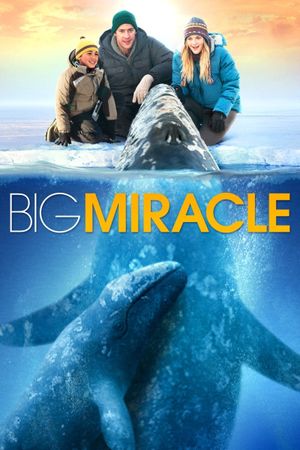 Big Miracle's poster