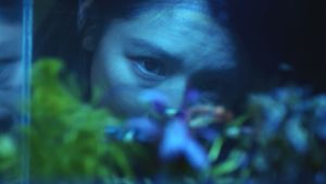 The Tag Along: Devil Fish's poster
