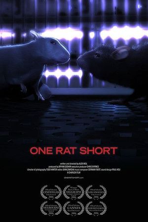 One Rat short's poster image