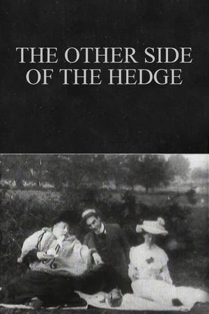 The Other Side of the Hedge's poster image