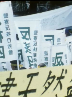 Festival's poster