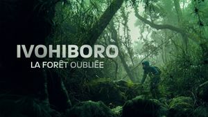 Ivohiboro, la forêt oubliée's poster