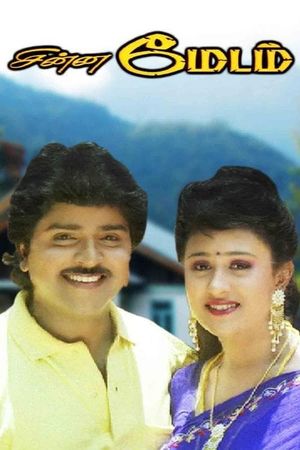 Chinna Madam's poster