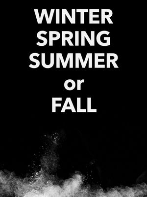 Winter Spring Summer or Fall's poster