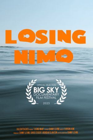 Losing Nimo's poster