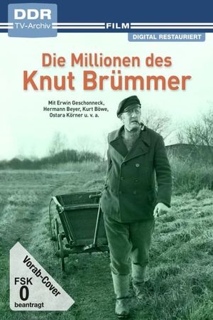 Die Millionen des Knut Brümmer's poster