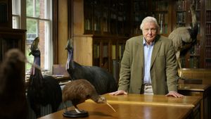 Attenborough's Big Birds's poster