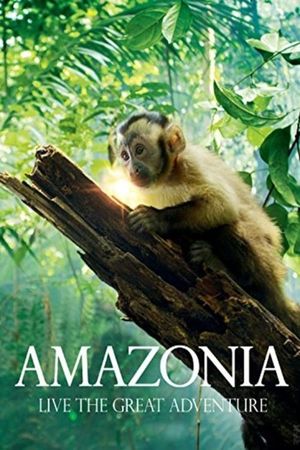 Amazonia's poster