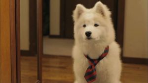 Mr. Inukai Keeps a Dog's poster