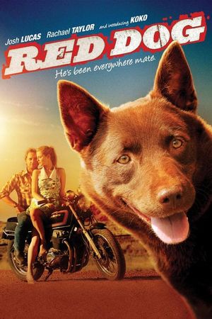 Red Dog's poster