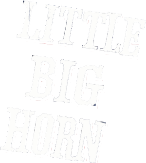 Little Big Horn's poster