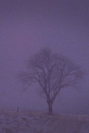 Tree Over the Valley, Eaton's poster