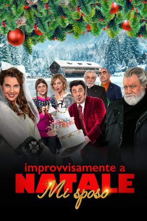 Improvvisamente a Natale mi sposo's poster