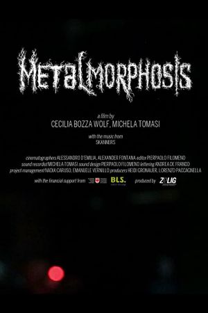 Metalmorphosis's poster