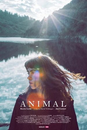 Animal's poster