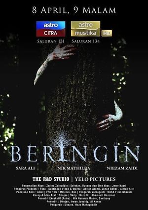 Beringin's poster