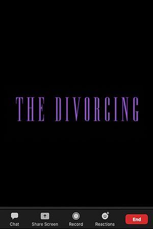 The Divorcing's poster image