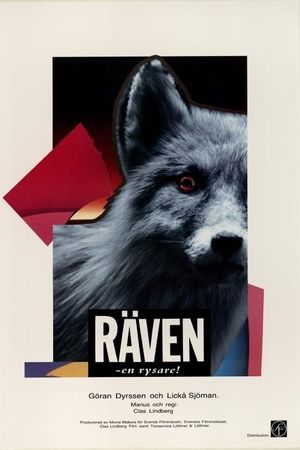 Räven's poster