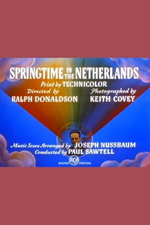 Springtime in the Netherlands's poster