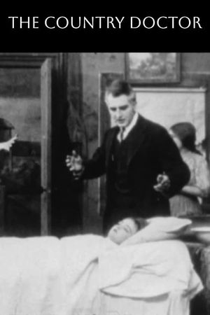 The Country Doctor's poster
