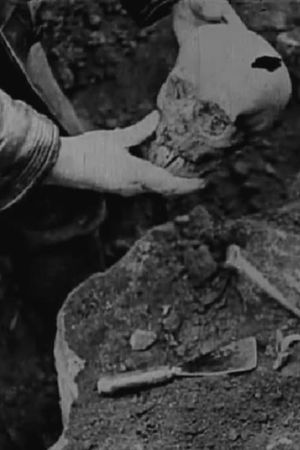 Story of the Unknown Soldier's poster